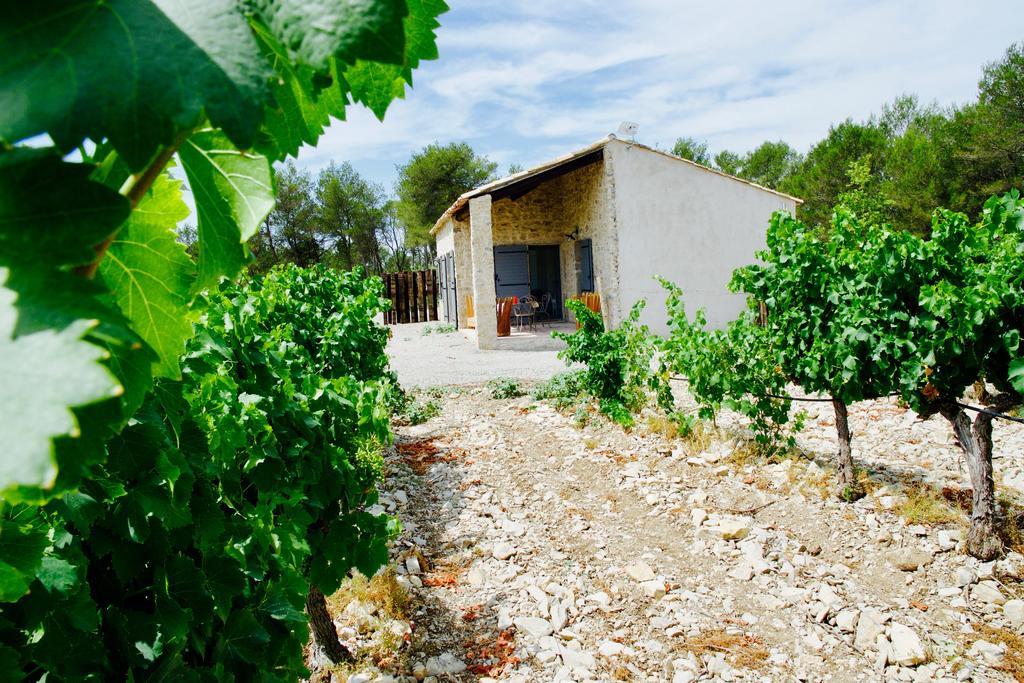 Les Lodges Du Pic Le Triadou エクステリア 写真